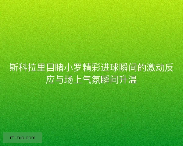 斯科拉里目睹小罗精彩进球瞬间的激动反应与场上气氛瞬间升温 斯科拉里目睹小罗精彩进球瞬间的激动反应与场上气氛瞬间升温